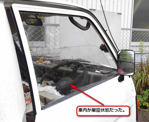 アシナガバチ注意点放置車両